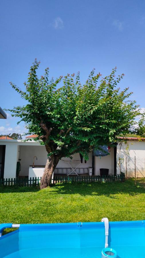 House With Pool And Garden In Esmoriz Near Porto Βίλα Εξωτερικό φωτογραφία